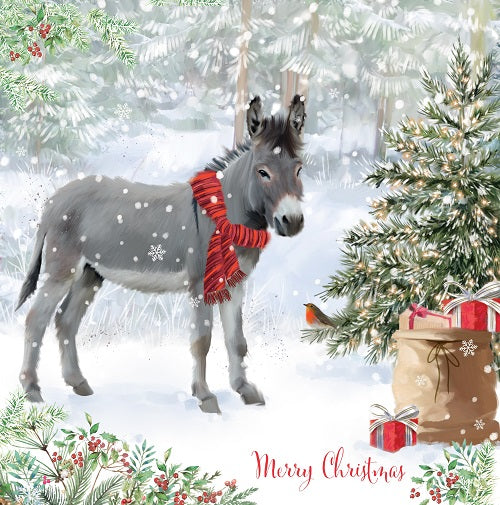 Little Donkey
