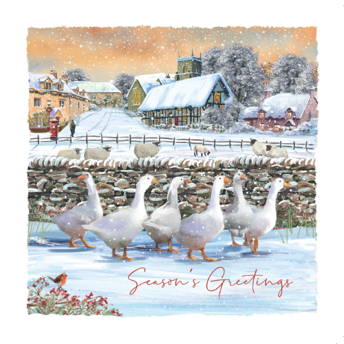 Geese at the Farmyard