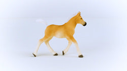 Schleich Haflinger Foal
