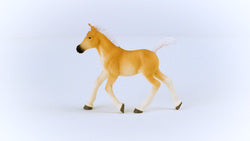 Schleich Haflinger Foal