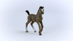 Schleich Cheval de Selle Francais Foal