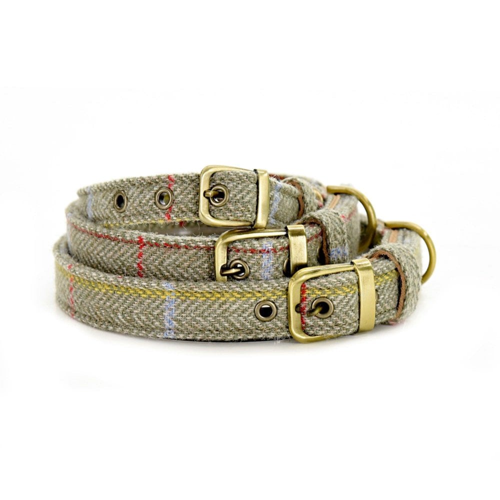 Tweed best sale puppy collar