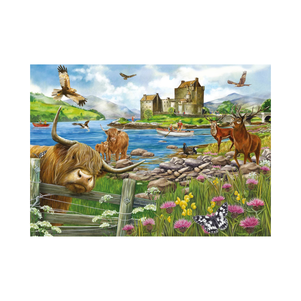 Jigsaws and puzzles