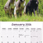Donkey Square Calendar 2026