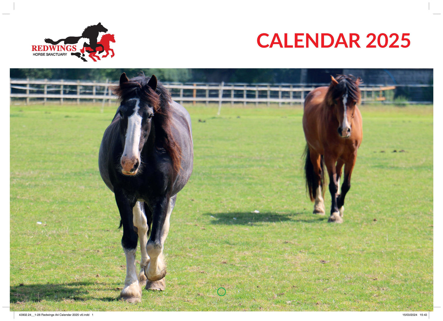 Redwings A4 Calendar 2025