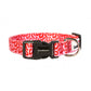 Image shows a bright red and pale pink leopard print design dog collar with silver and black hardwear and the white Doodlebone logo