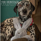 Heritage Floppy Bunny Dog Toy