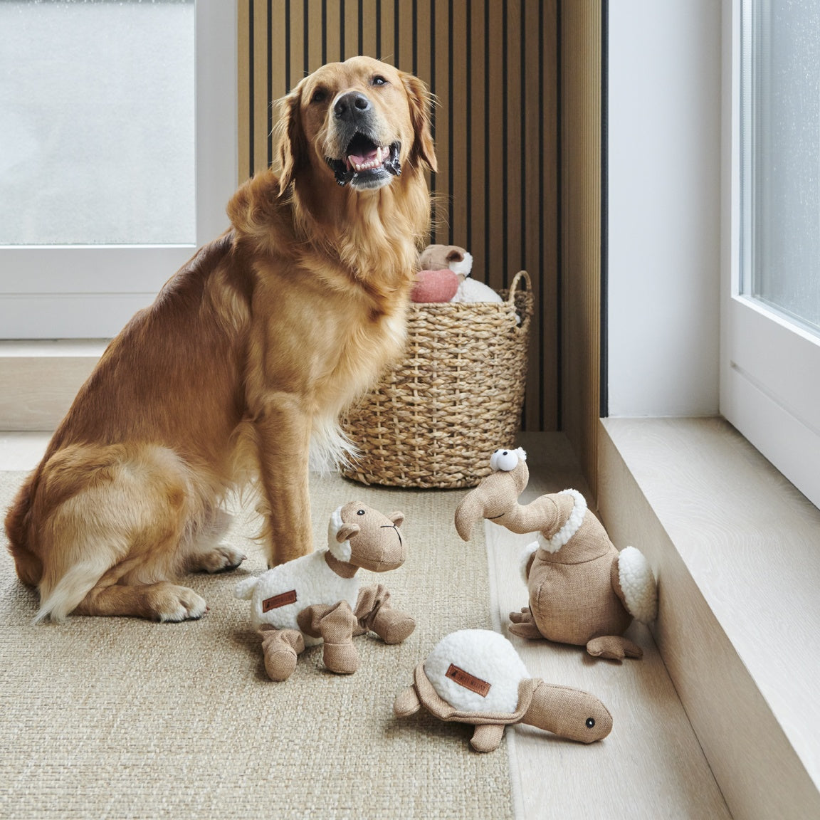 Sweet William Dodo Dog Toy