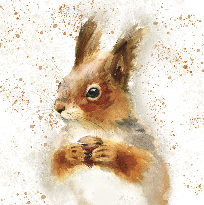 image shows a watercolour deisgn red squirell holding a nut finished with a brown speckled paint splatter background