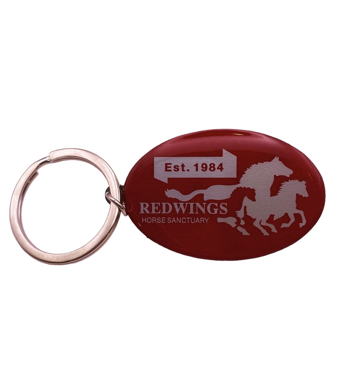 Redwings Ruby Keyring