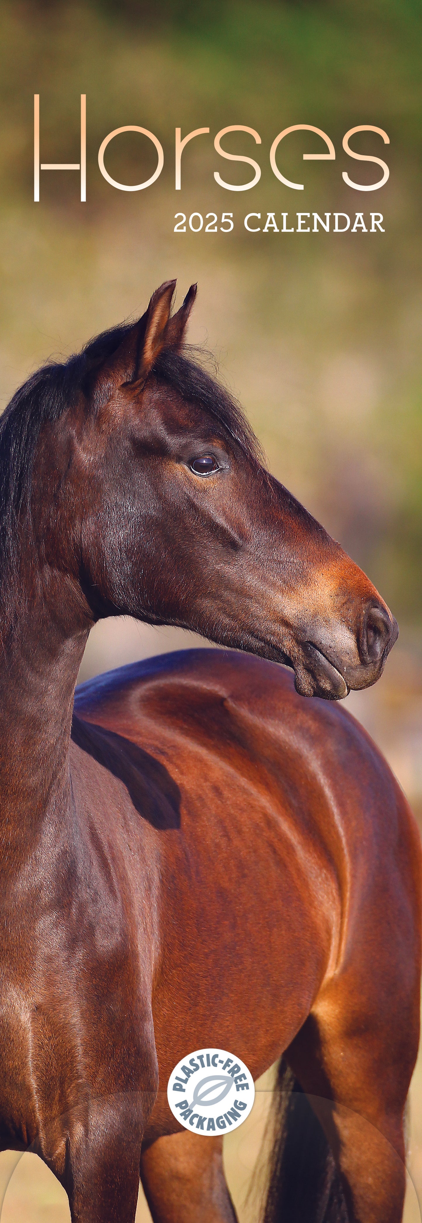 Caballos Slim Calendario 2025