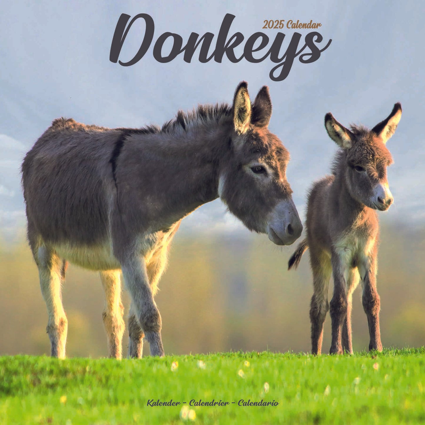 Donkey Square Calendar 2025