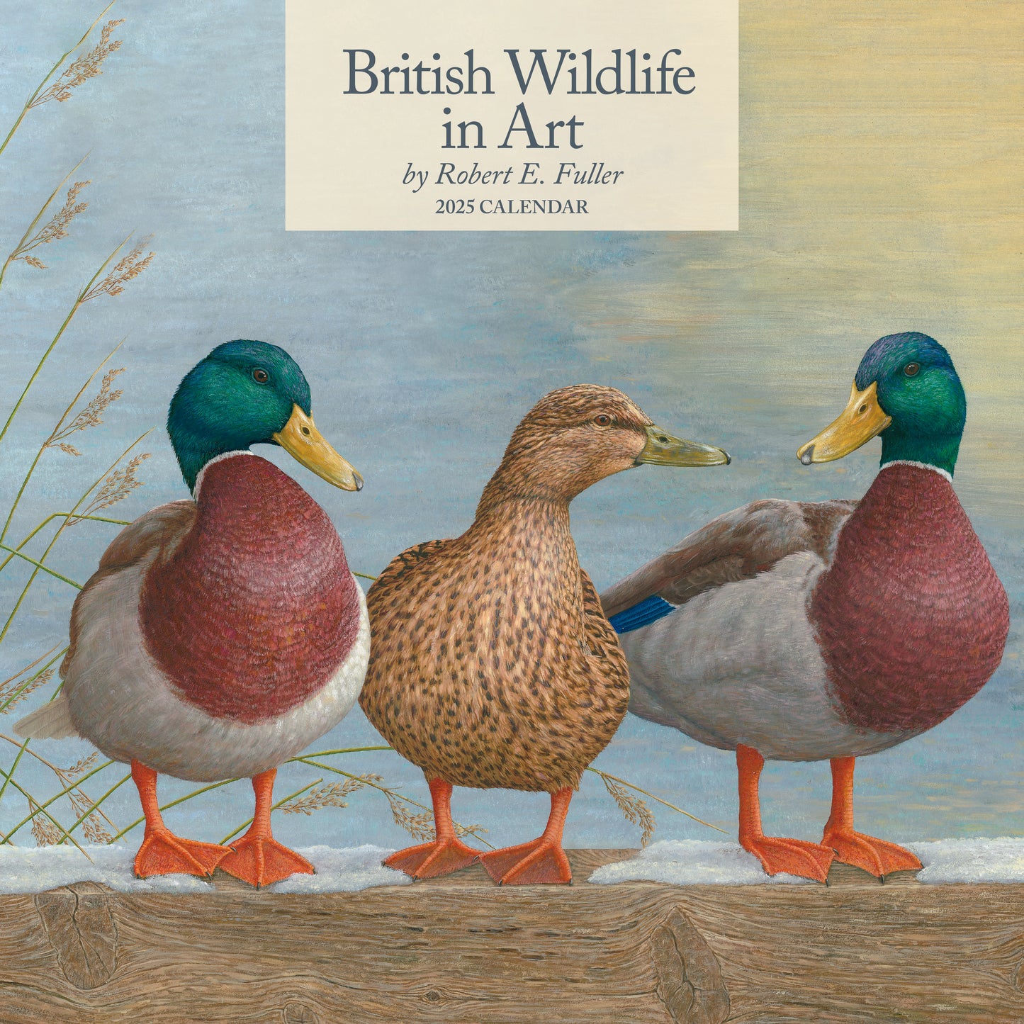 Calendrier 2025 de British Wildlife Square