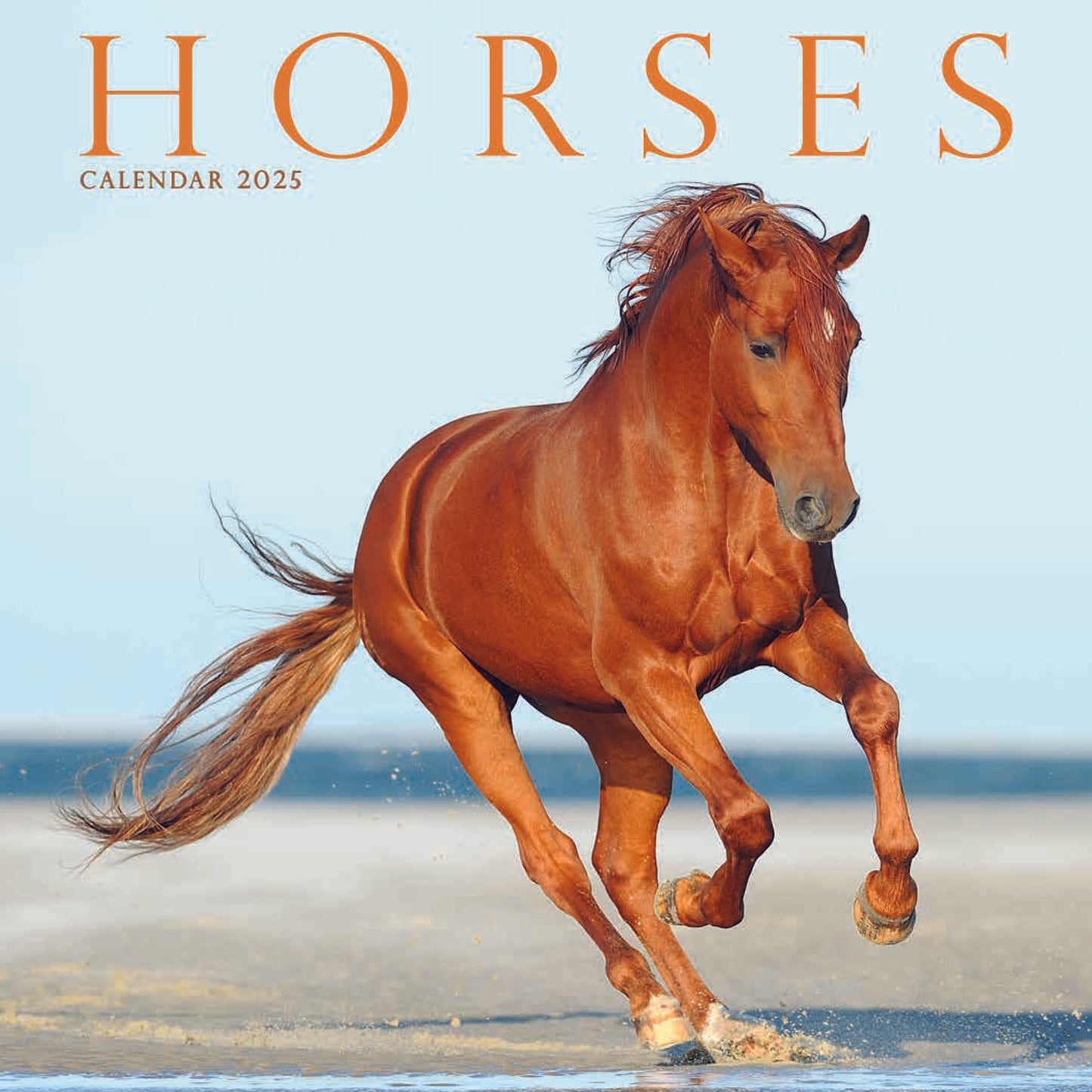 Caballos Mini Calendario 2025