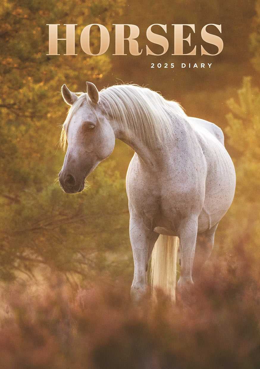 Horses A5 Diary 2025