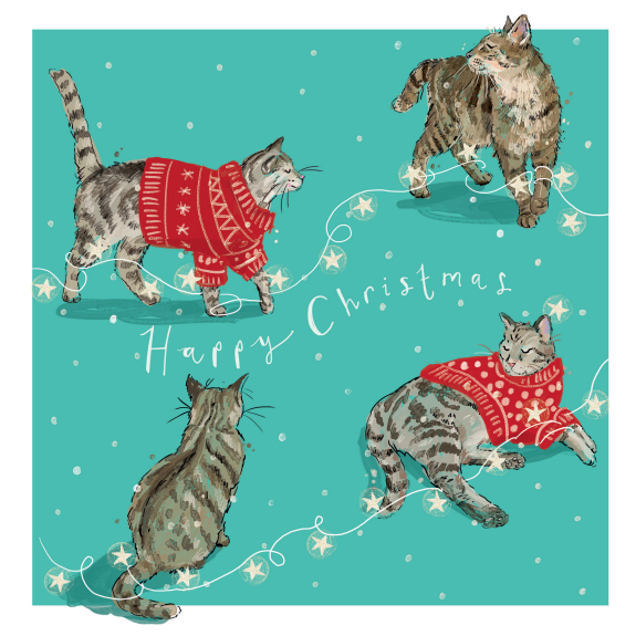 Pack de pare-chocs de cartes de Noël Redwings (5 paquets)