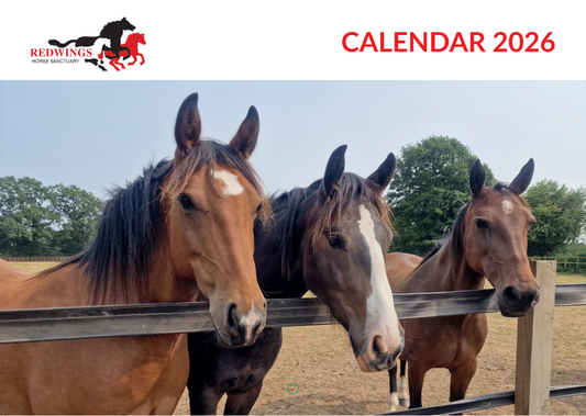 Redwings A4 Calendar 2026