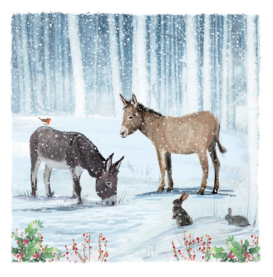 Donkey Friends