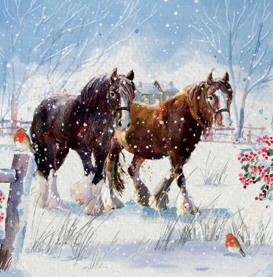 Frosty Morning