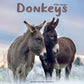 Donkey Square Calendar 2026