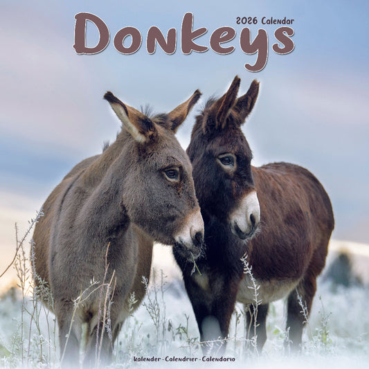 Donkey Square Calendar 2026