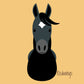 Imán cerámico ilustrado de Redwings