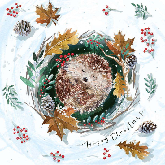 Hibernating Hedgehog