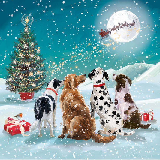 Watching Santa