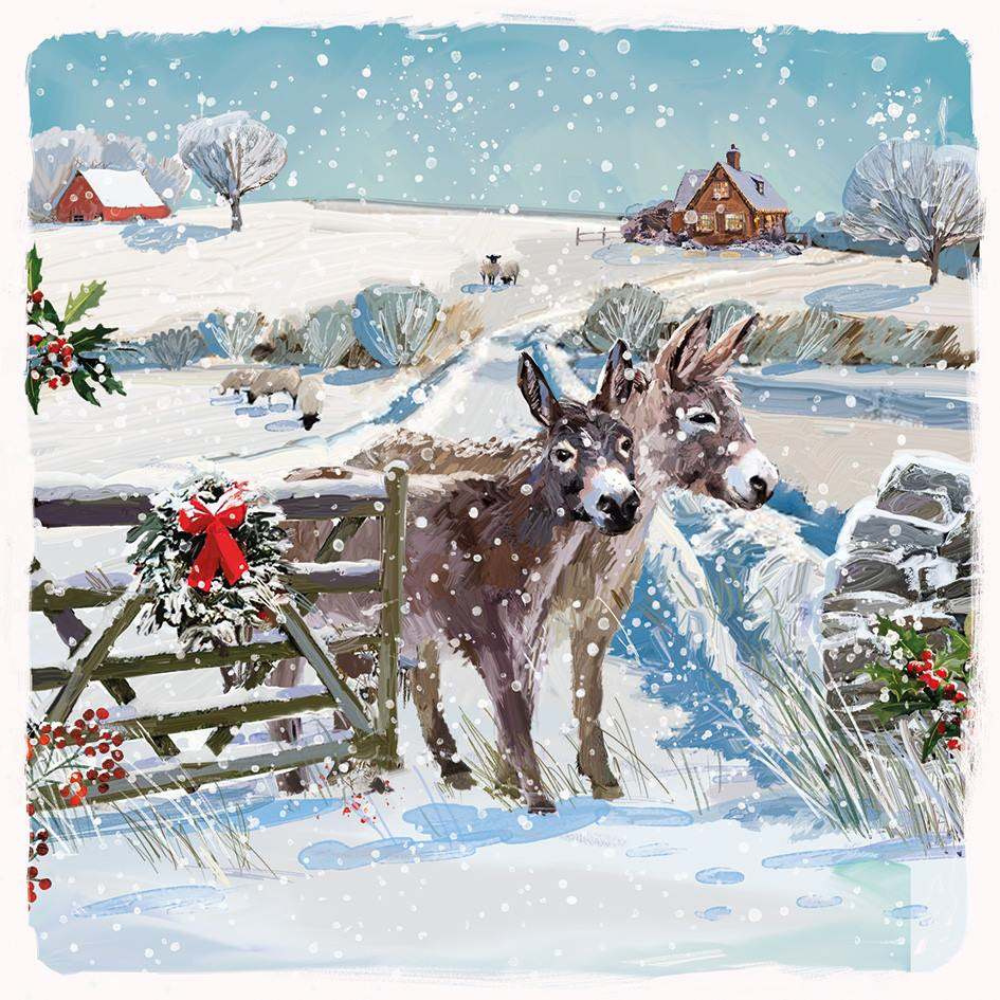 Donkeys In Snow