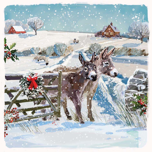 Donkeys In Snow