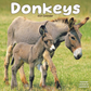Donkeys wall calendar 2027