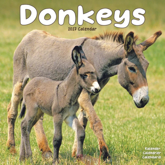 Donkeys wall calendar 2027