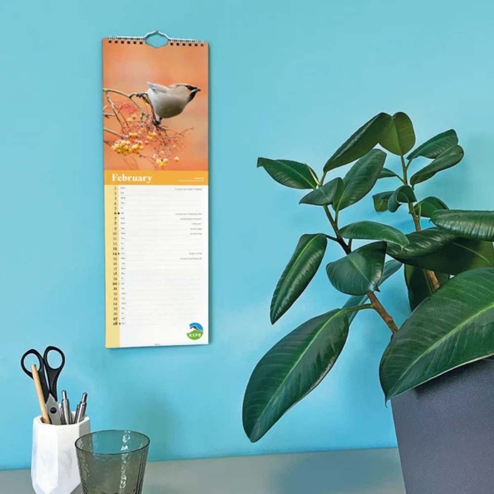 RSPB Birds Slim calendar 2027