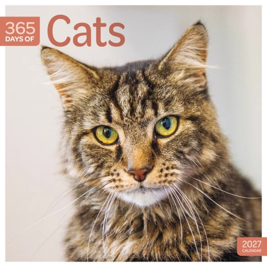 Cats 365 Days wall calendar 2027