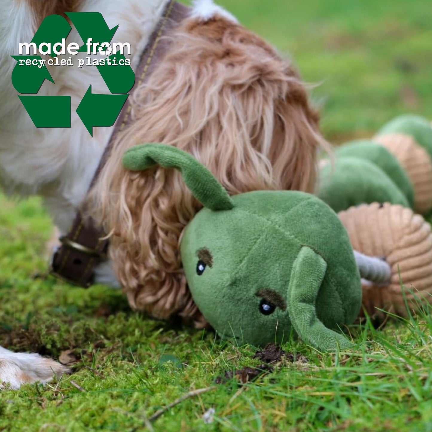 image shows a dog playing with the catapillar dog toy in the garden
