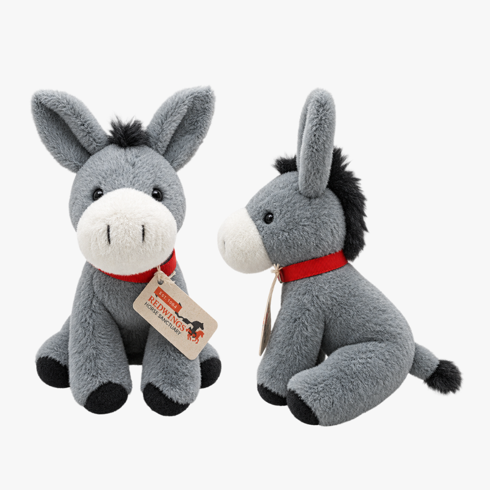 Dave the Donkey