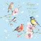 image shows a blue tit, robin and 2 small birds sitting on thin brances with a light blue background and a small area of pink flowers