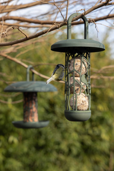 Recycled Suet Ball Bird Feeder