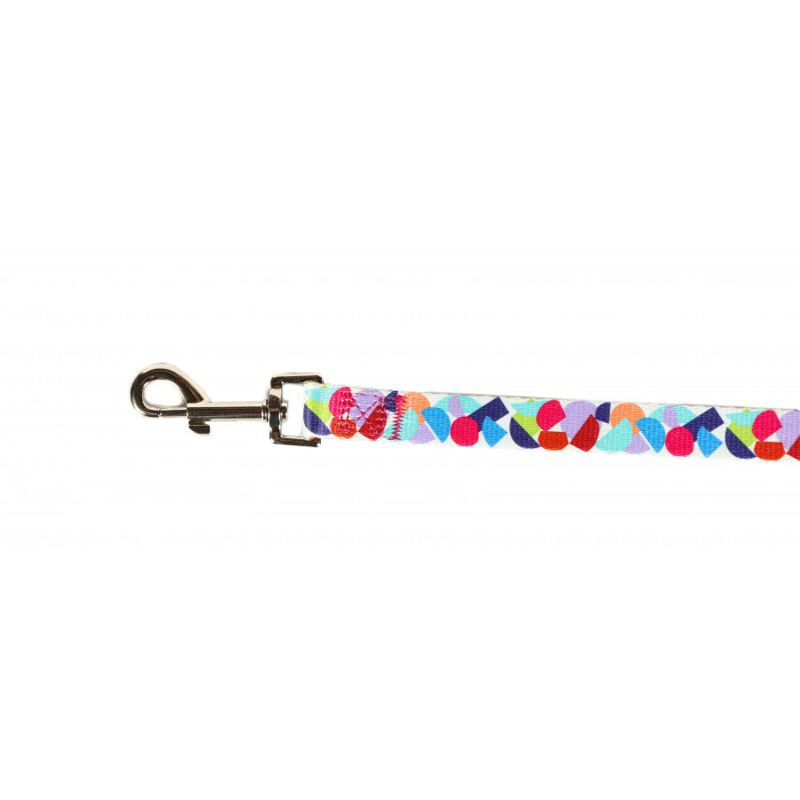 Image shows a bright abstract print dog lead with a mixture of reds, blues, orange and green finished off with  a silver clip and the white doodlebone logo