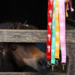 Redwings Eco Lanyard - S/S 2025
