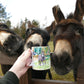 Denver the Donkey Greetings Card