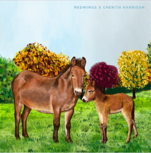 Image shows a square magnet with a beautifully drawn image of our brown mule muffin standing in a grassy field with a line of autumnal colour trees