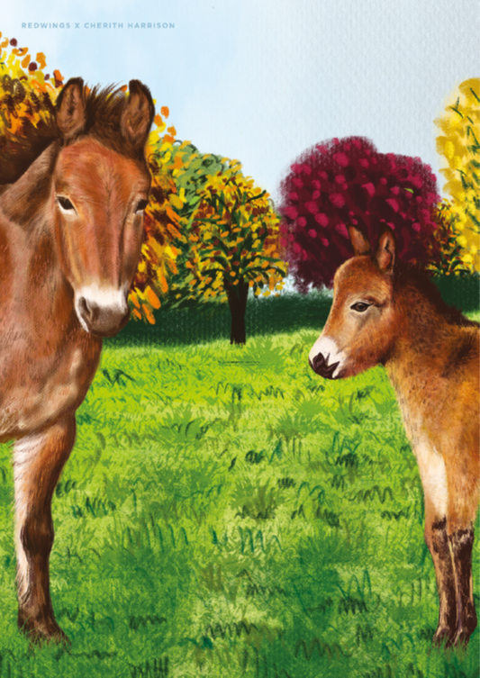 Ensemble d'écriture Muffin la Mule