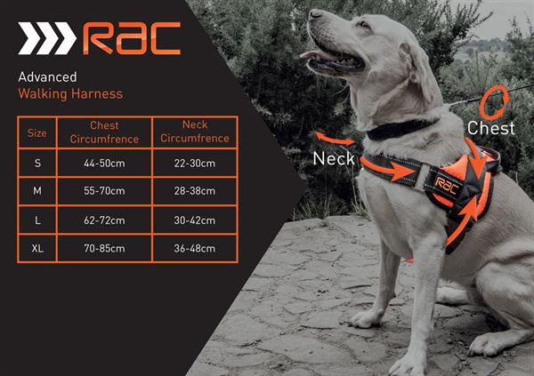 RAC Advanced Walking Harness