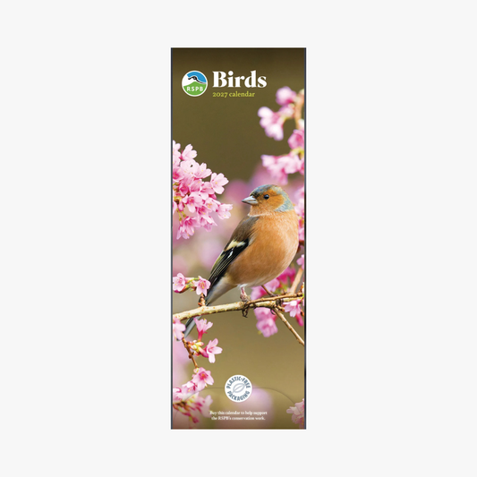 RSPB Birds Slim calendar 2027