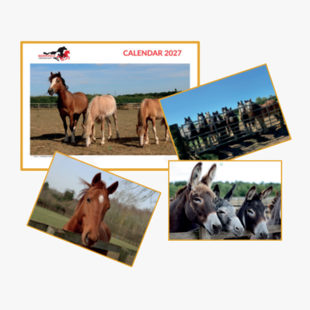 Redwings 2027 A4 Calendar