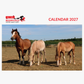 Redwings 2027 A4 Calendar