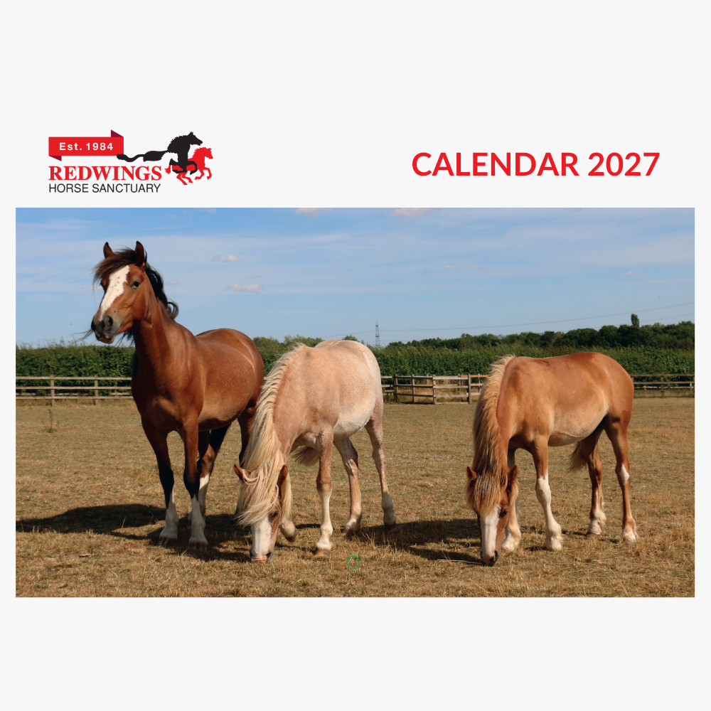 Redwings 2027 A4 Calendar