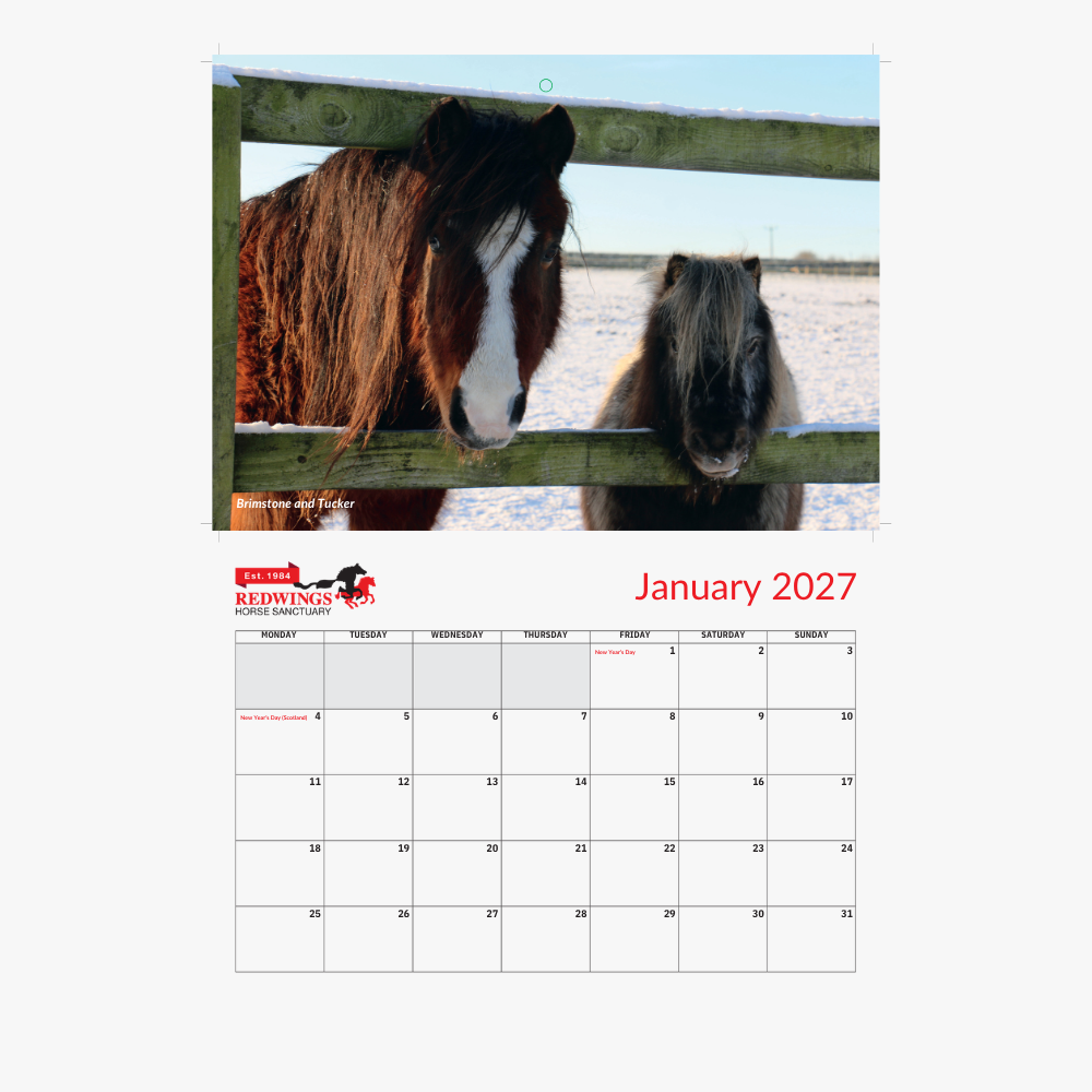 Redwings 2027 A4 Calendar