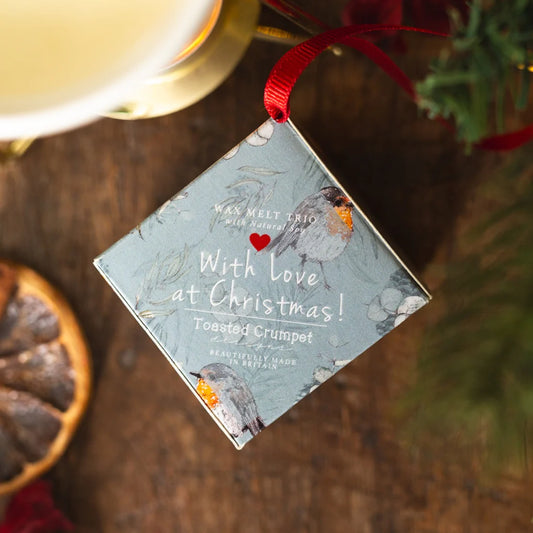 Robin & Eucalyptus Mini Wax Melt Bauble